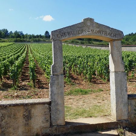 The Mews Daire Puligny-Montrachet Dış mekan fotoğraf