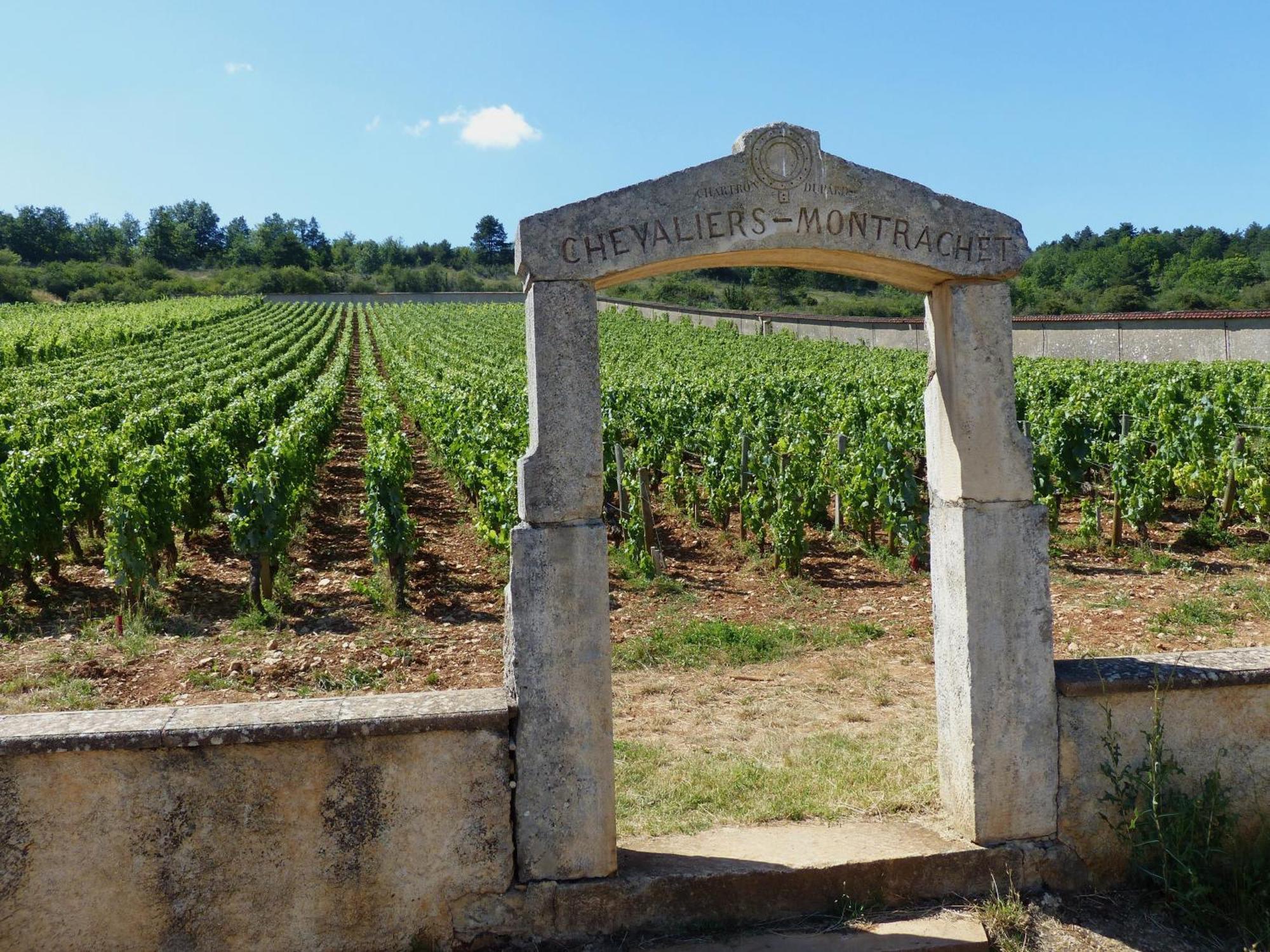 The Mews Daire Puligny-Montrachet Dış mekan fotoğraf