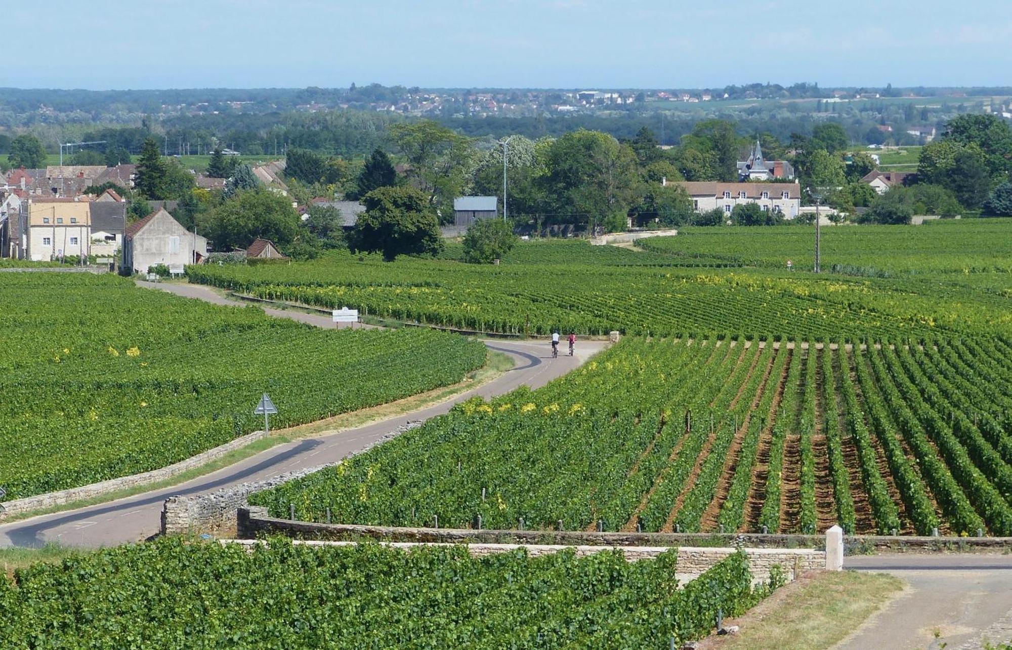 The Mews Daire Puligny-Montrachet Dış mekan fotoğraf